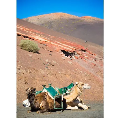 فيلة Costa Papagayo 6 *