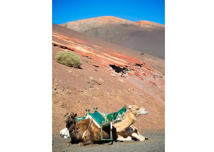 Villa Costa Papagayo 6 *